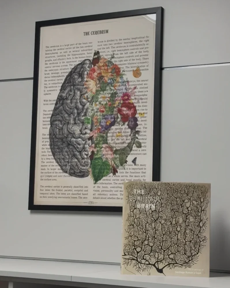 CESAPLORCA | Neuropsicologia-Inicio